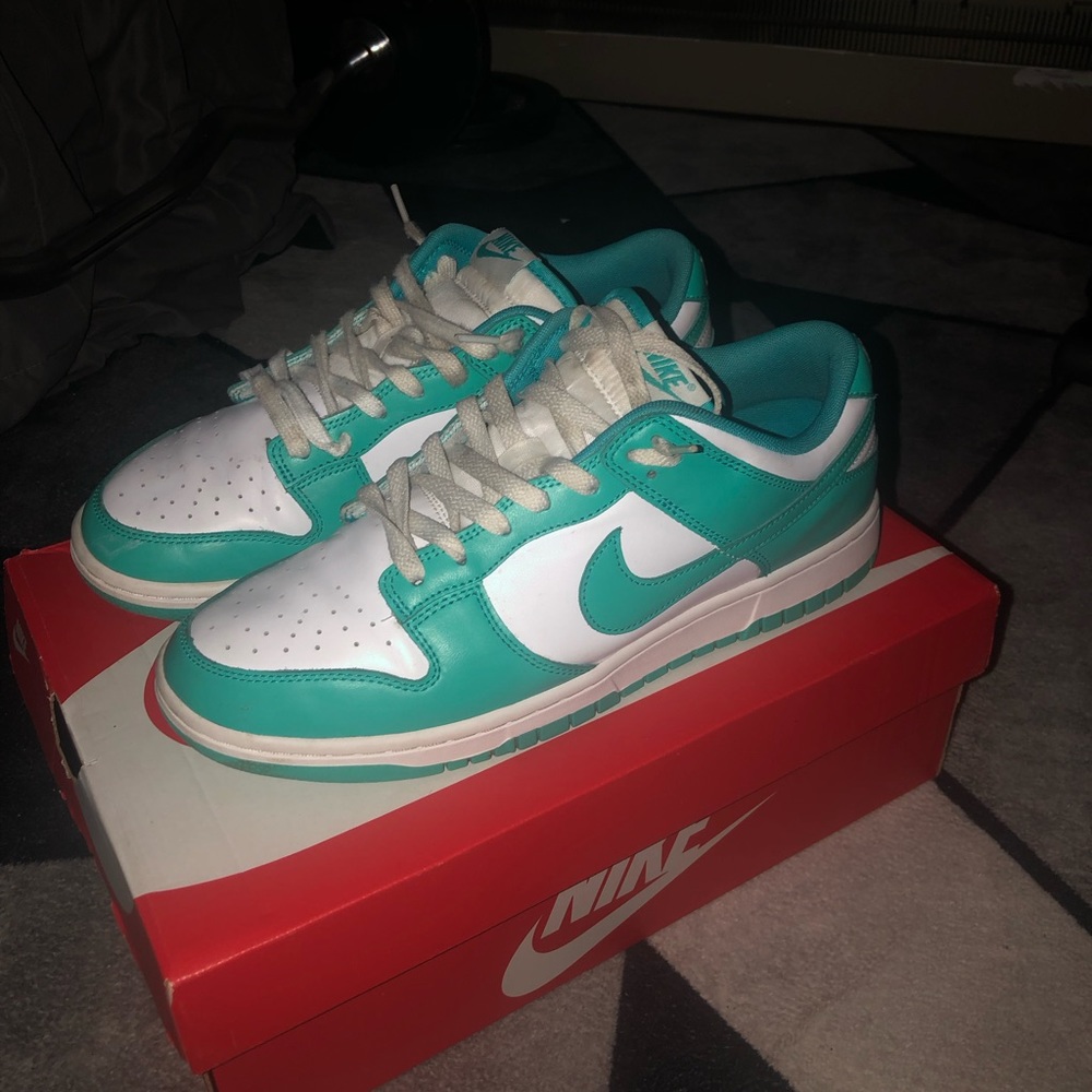 Men’s Nike dunks size 9.5